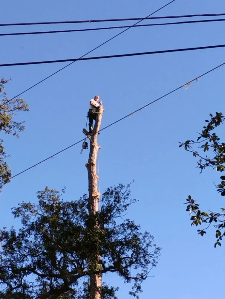 Reliable yard cleanup service in Silver Springs, FL - Cunningham Cares