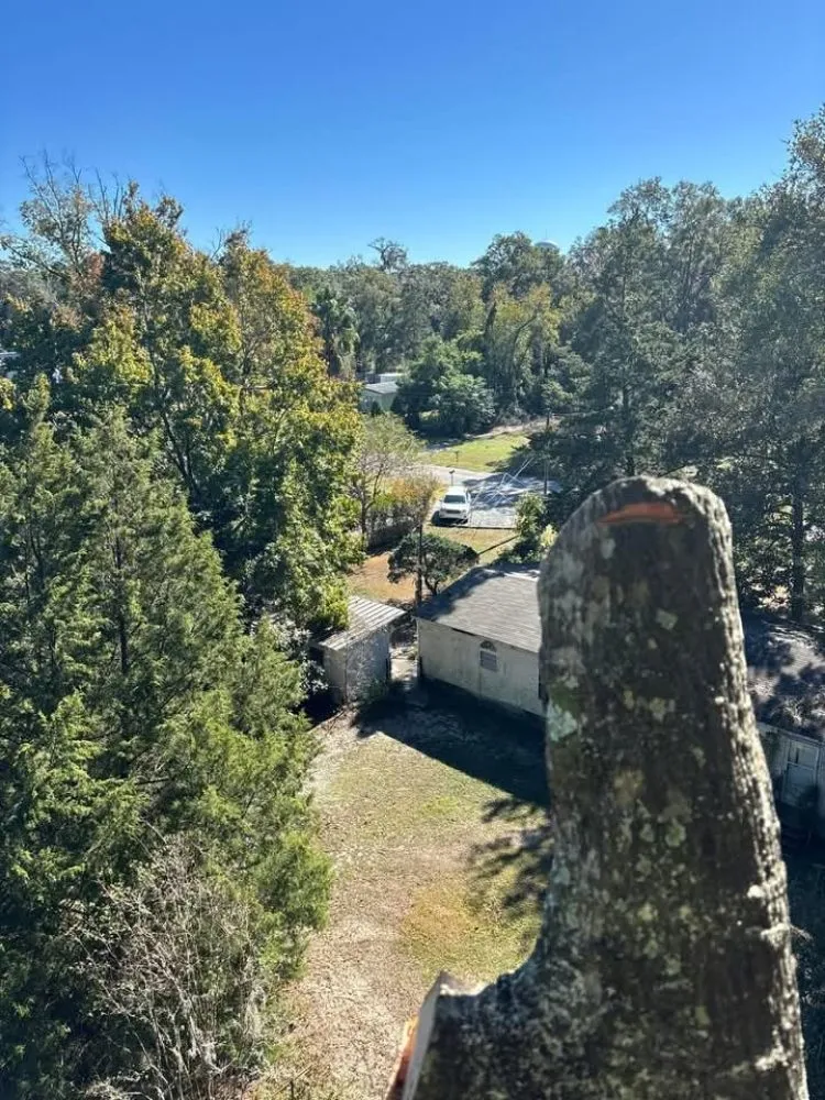 Top-rated outdoor landscaping experts serving Silver Springs, FL - Cunningham Cares