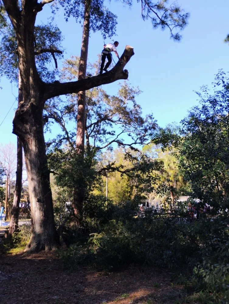 Reliable lawn care service for year-round maintenance in Silver Springs, FL by Cunningham Cares