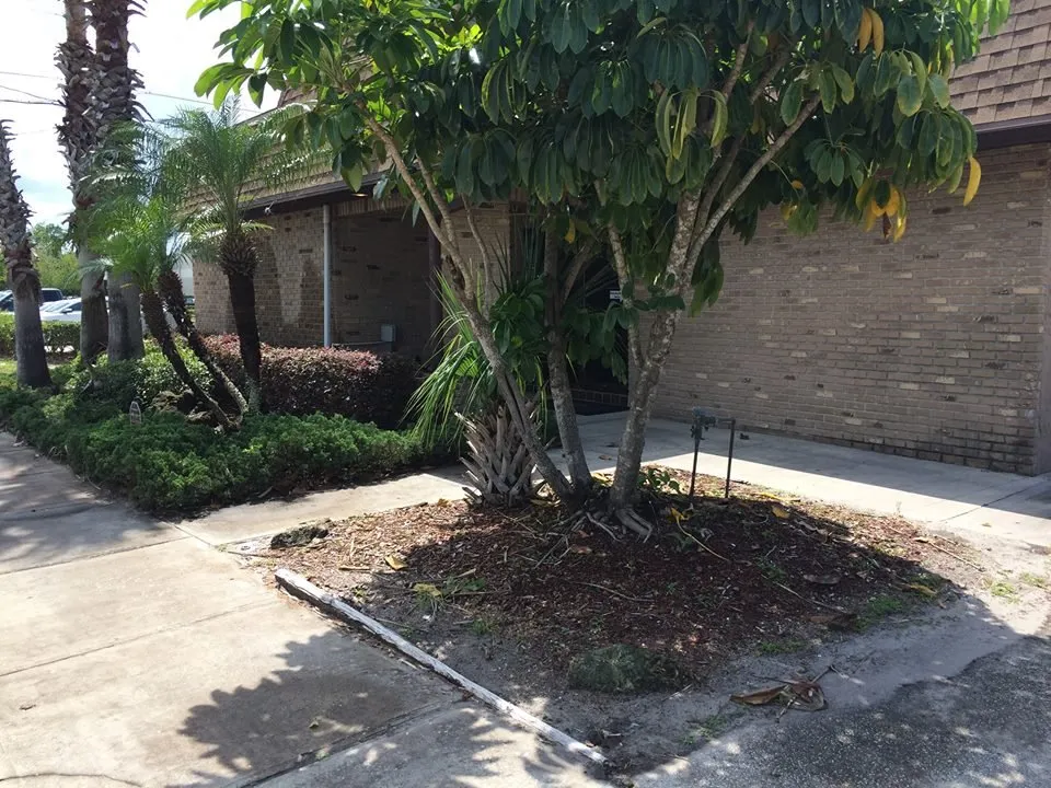 Affordable outdoor landscaping in Saint Cloud, FL by Cunningham Landscape & Sod