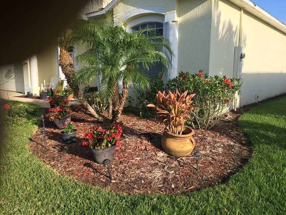 Trusted lawn care service in Saint Cloud, FL - Cunningham Landscape & Sod