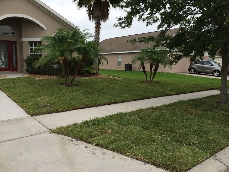 Top-rated yard cleanup service in Saint Cloud, FL by Cunningham Landscape & Sod