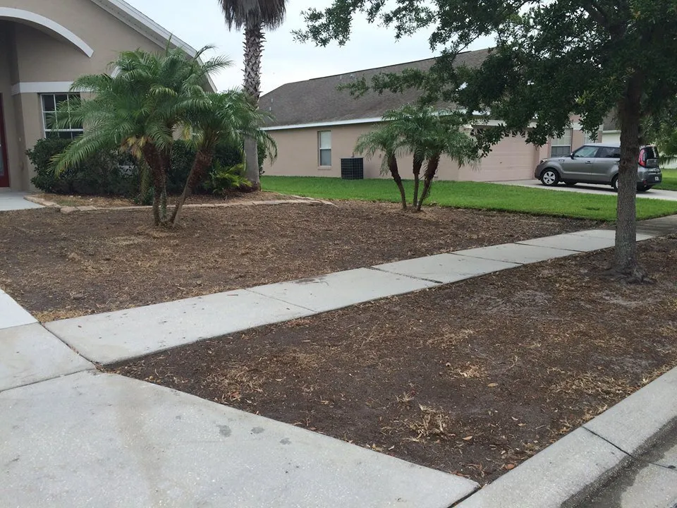 Affordable landscaping services in Saint Cloud, FL - Cunningham Landscape & Sod