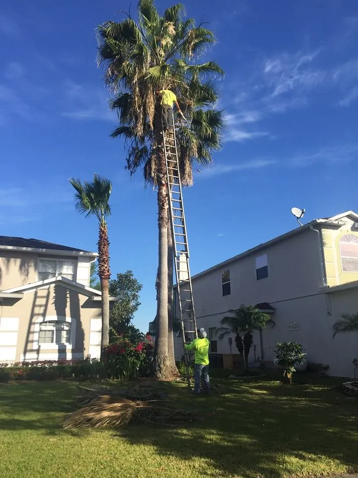 Affordable lawn care service near you in Saint Cloud, FL by Cunningham Landscape & Sod