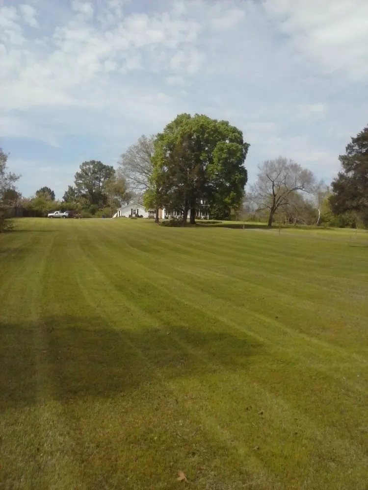 Local yard cleanup service in Conway, AR by Cunningham Lawn Care