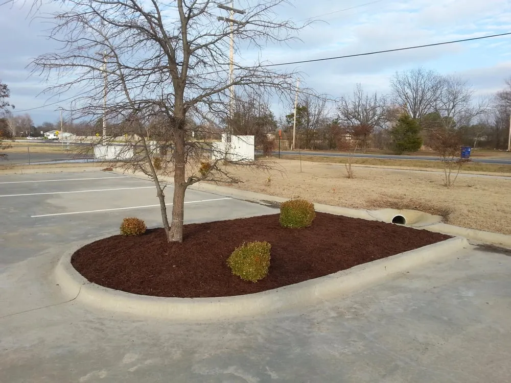 Local lawn care service for beautiful yards across Conway, AR - Cunningham Lawn Care