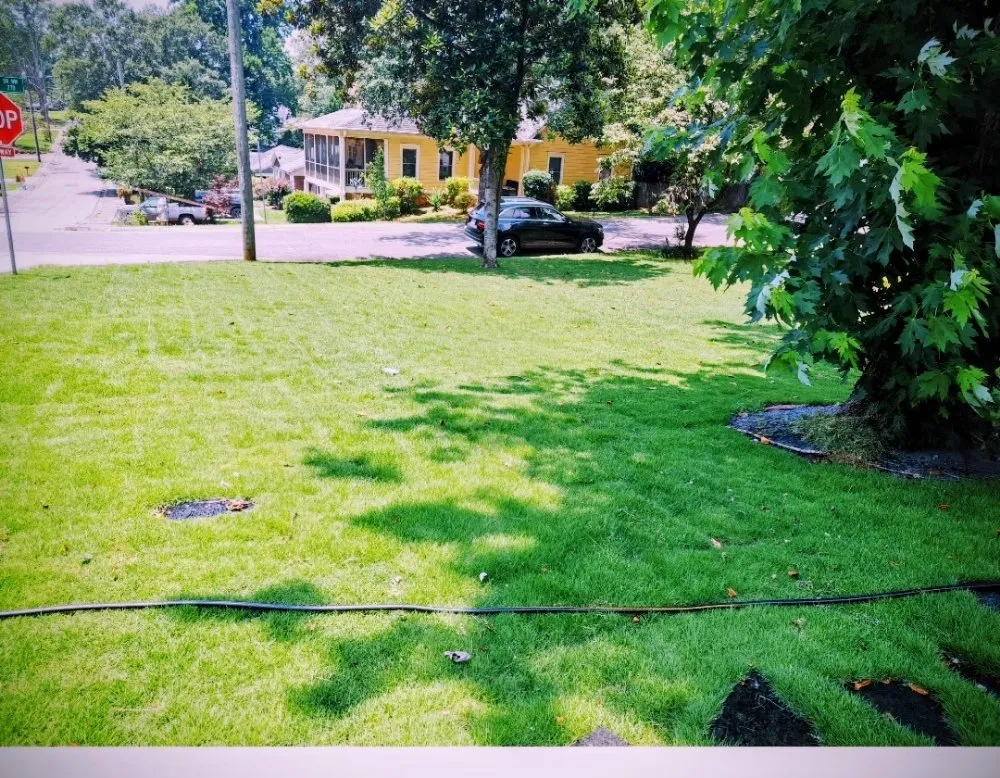 Affordable landscape design experts serving Cartersville, GA - Cunningham Yard and Home