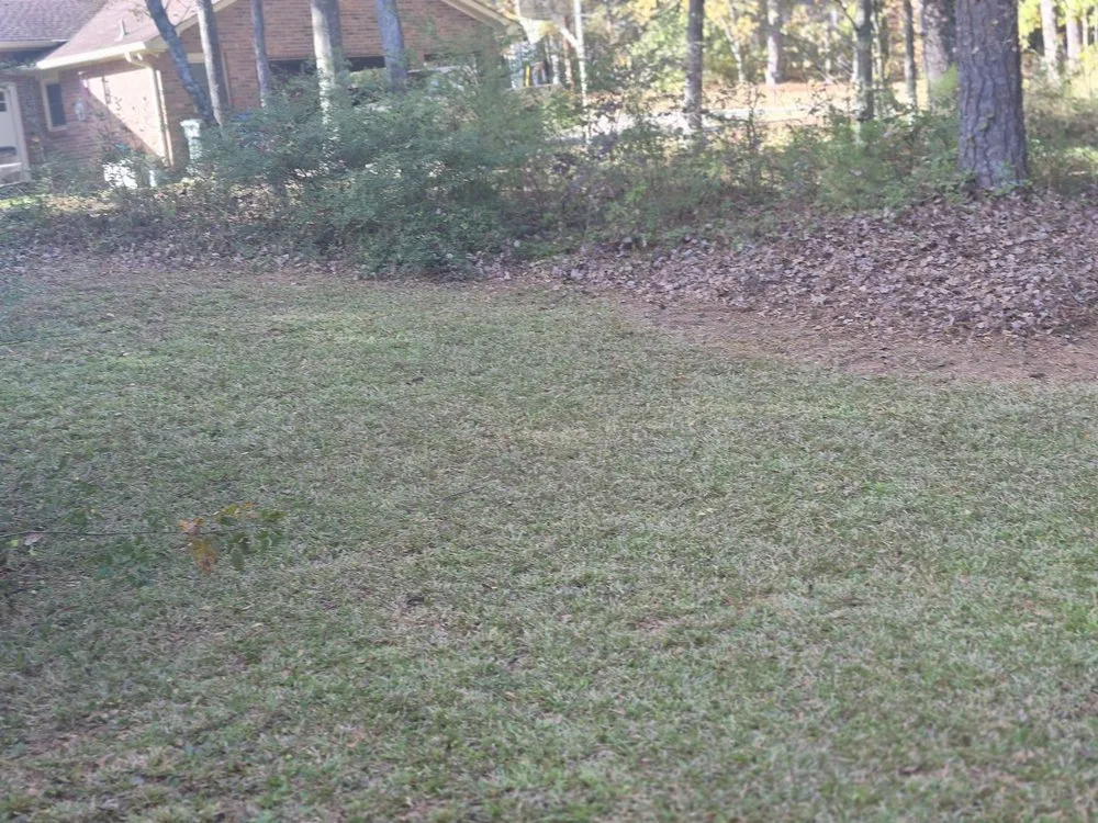 Affordable landscape installation for beautiful yards across Cartersville, GA - Cunningham Yard and Home
