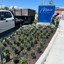 Expert lawn care service experts serving New Smyrna Beach, FL - Cunningham's Lawn & Landscaping