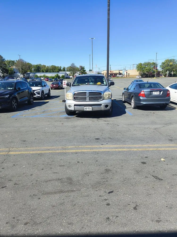 Top-rated landscape installation for year-round maintenance across Troy, NY - Cunningham’s Property Adjustment’s