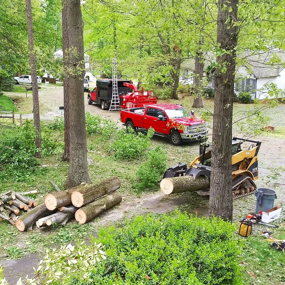 Top-rated outdoor landscaping for residential properties in Rochelle, VA by Cunningham's Tree & Landscape