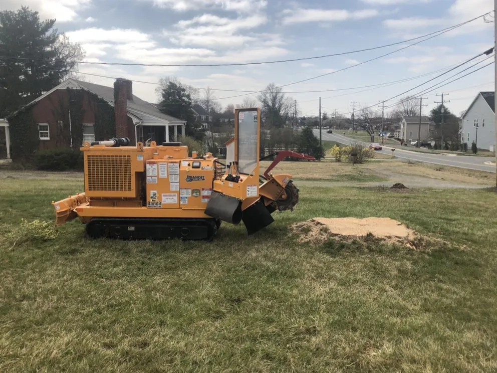 Professional residential landscaping experts serving Rochelle, VA - Cunningham's Tree & Landscape