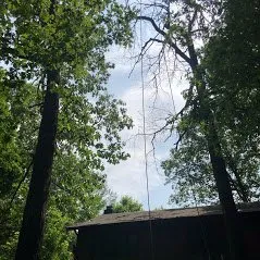Local garden landscaping in Rochelle, VA - Cunningham's Tree & Landscape