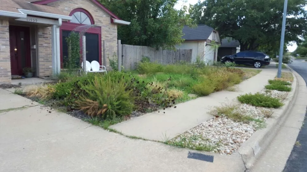 Local landscape design for residential properties in Austin, TX by Cupido Landscaping