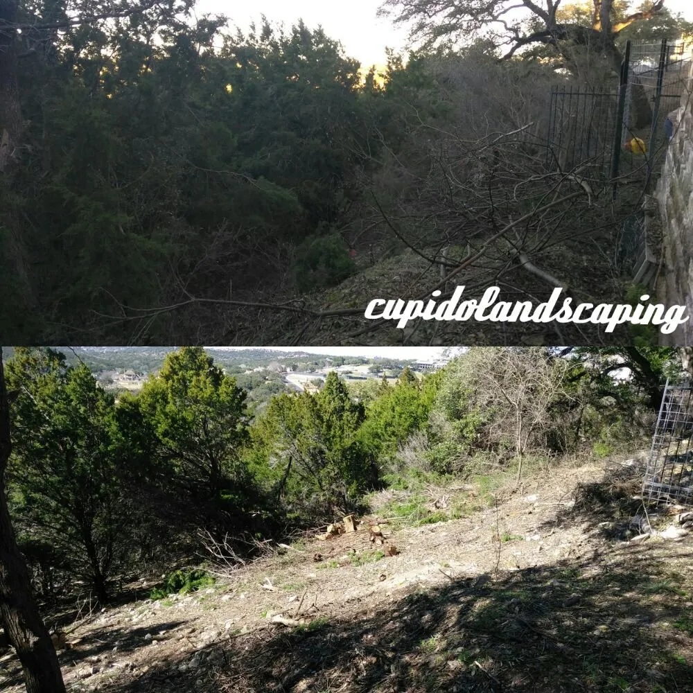 Expert outdoor landscaping in Austin, TX - Cupido Landscaping