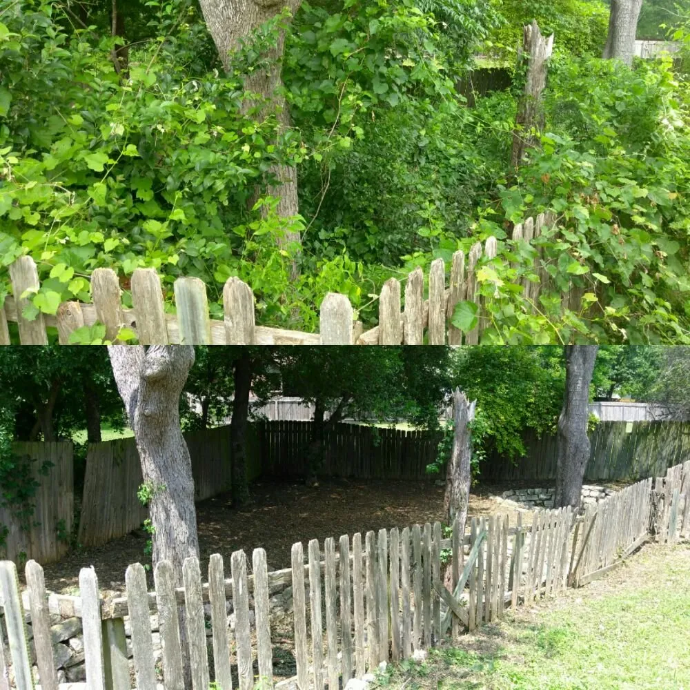 Top-rated residential landscaping experts serving Austin, TX - Cupido Landscaping