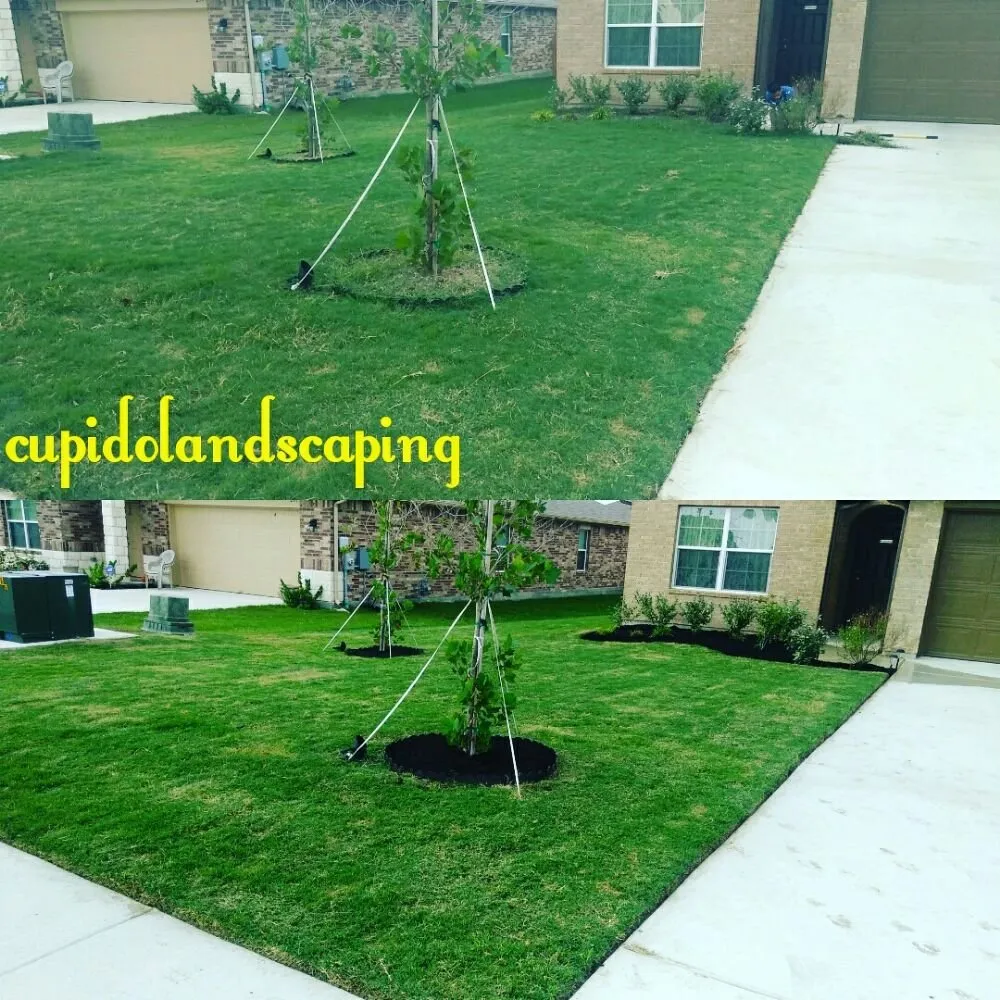 Professional yard cleanup service for beautiful yards across Austin, TX - Cupido Landscaping