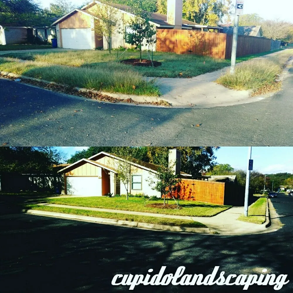Top-rated residential landscaping for beautiful yards in Austin, TX by Cupido Landscaping