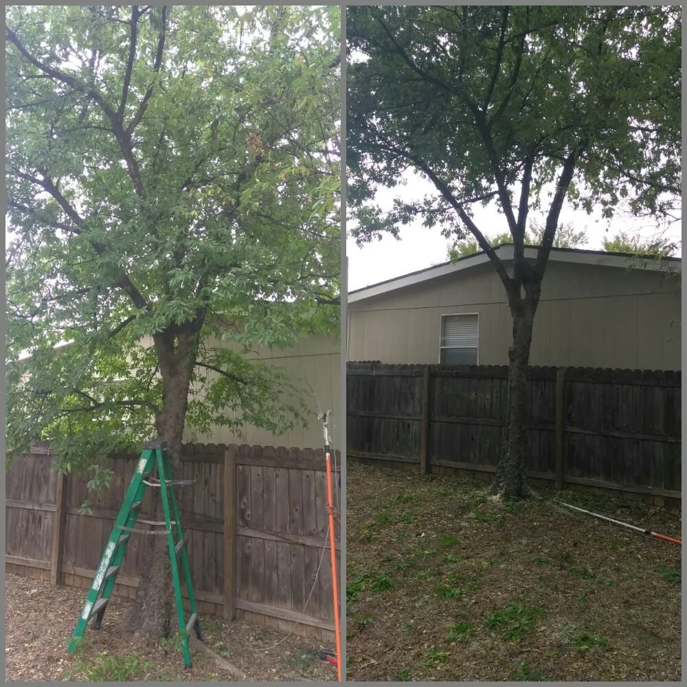 Reliable yard maintenance experts serving Austin, TX - Cupido Landscaping
