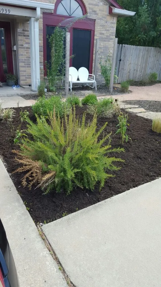 Top-rated outdoor landscaping in Austin, TX - Cupido Landscaping