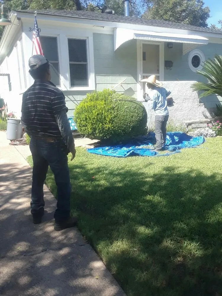 Trusted yard cleanup service in Austin, TX - Cupido Landscaping