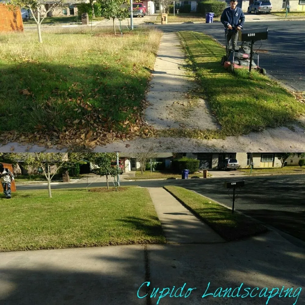 Affordable yard cleanup service in Austin, TX - Cupido Landscaping