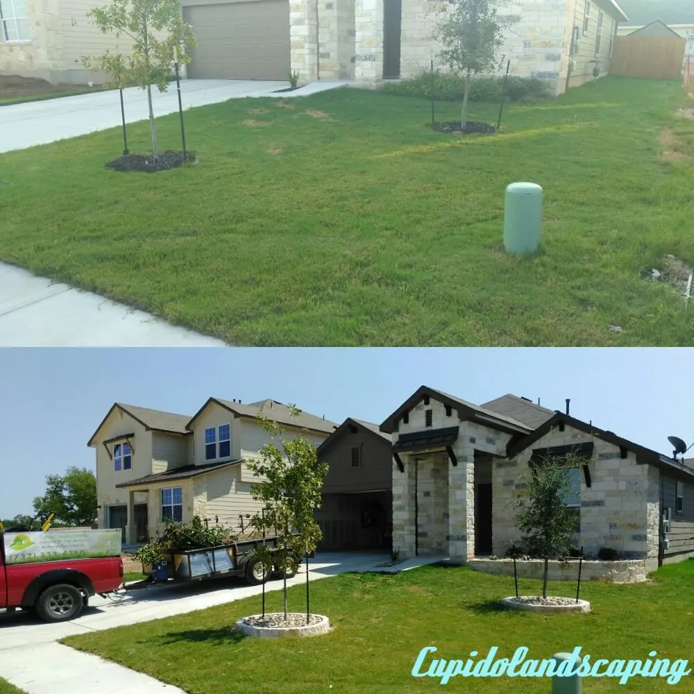 Expert landscape design in Austin, TX by Cupido Landscaping