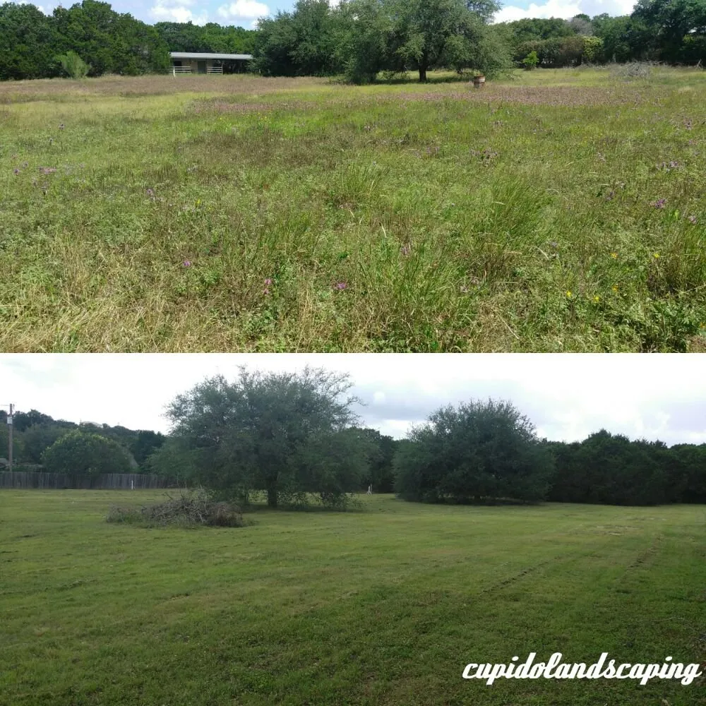 Trusted outdoor landscaping in Austin, TX - Cupido Landscaping