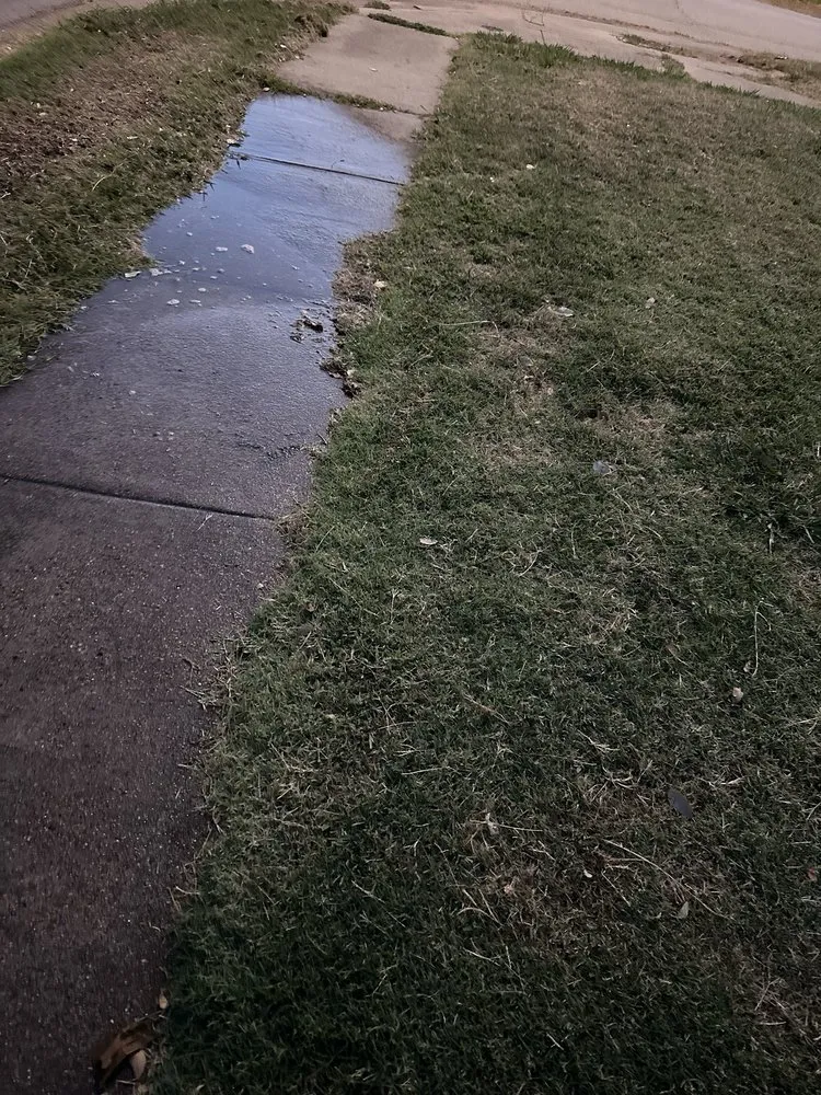 Professional garden landscaping in Boyd, TX by Cupit & Co