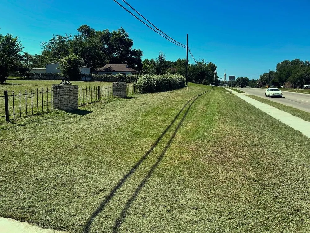 Top-rated yard cleanup service for beautiful yards in Boyd, TX by Cupit & Co