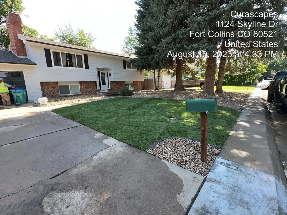 Professional garden landscaping with custom design in Brighton, CO by Curascapes