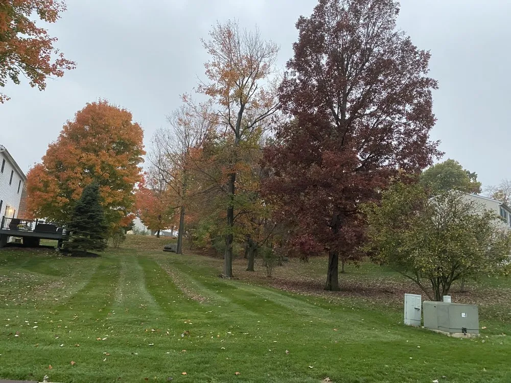 Local lawn mowing service in Arlington, VA - Curatola Landscaping