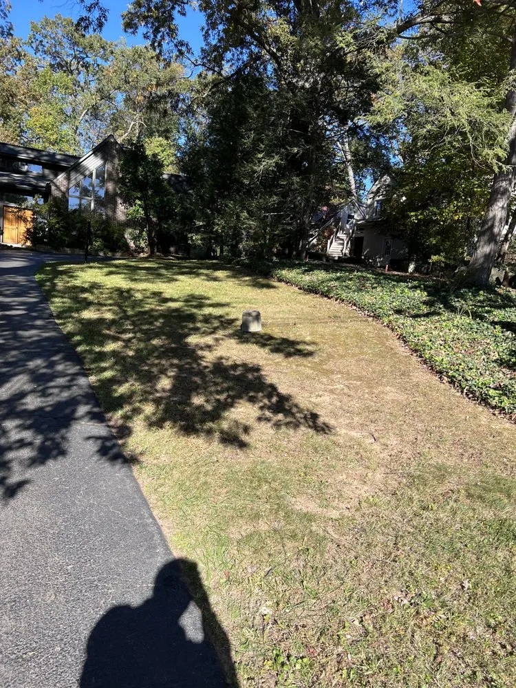 Reliable landscaping services for homes across Arlington, VA - Curatola Landscaping