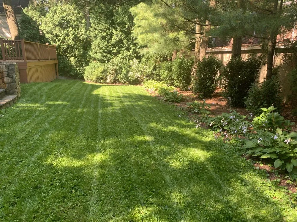 Reliable residential landscaping experts serving Arlington, VA - Curatola Landscaping