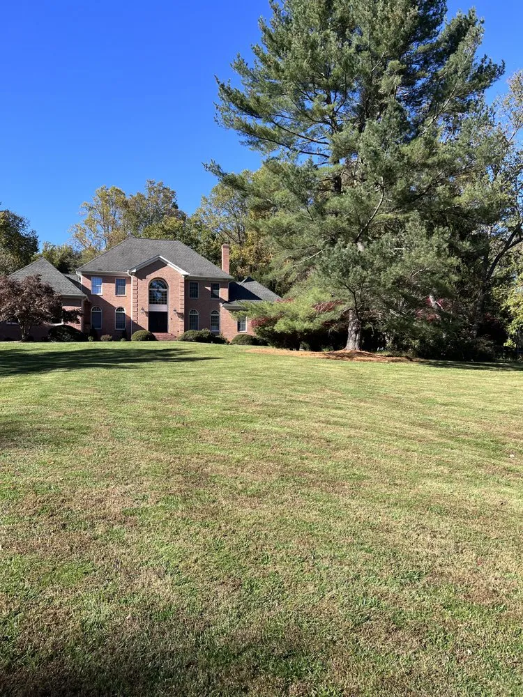 Affordable landscape design near you across Arlington, VA - Curatola Landscaping