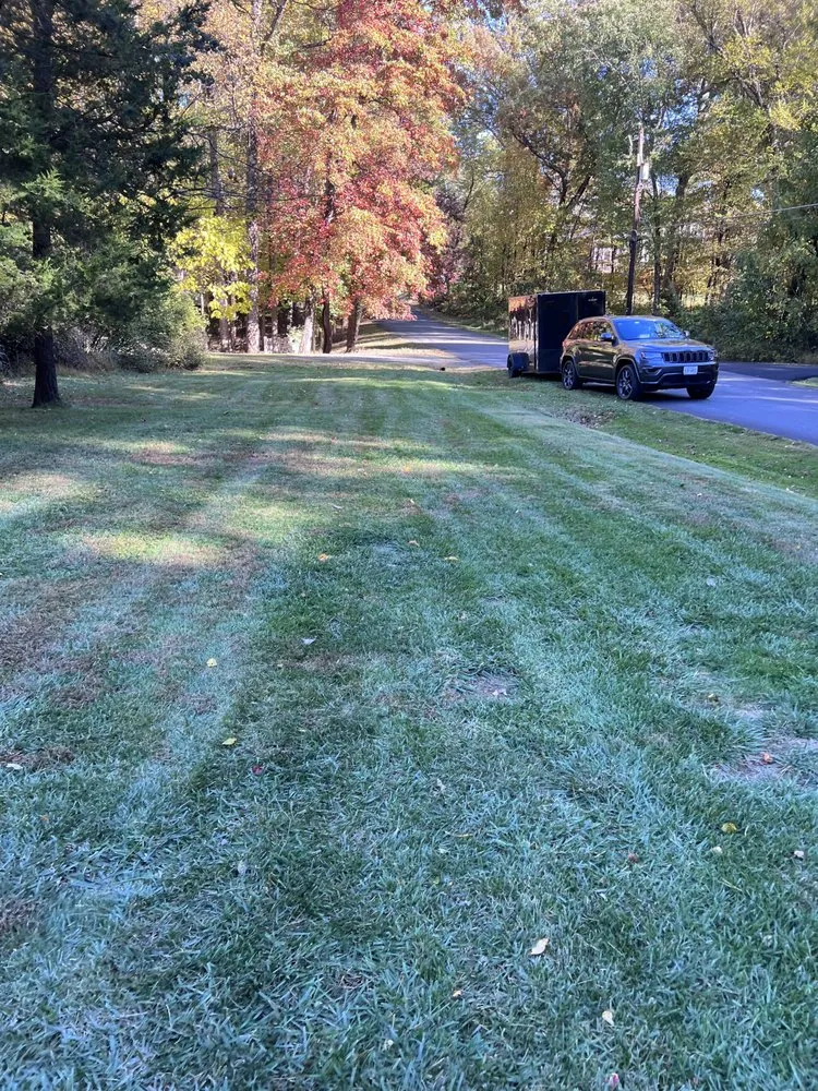 Local yard maintenance for beautiful yards in Arlington, VA by Curatola Landscaping