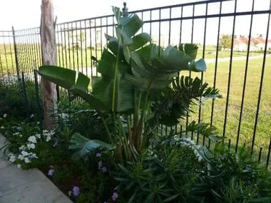 Trusted lawn care service for outdoor upgrades in Kenner, LA by Curb A Garden Landscape