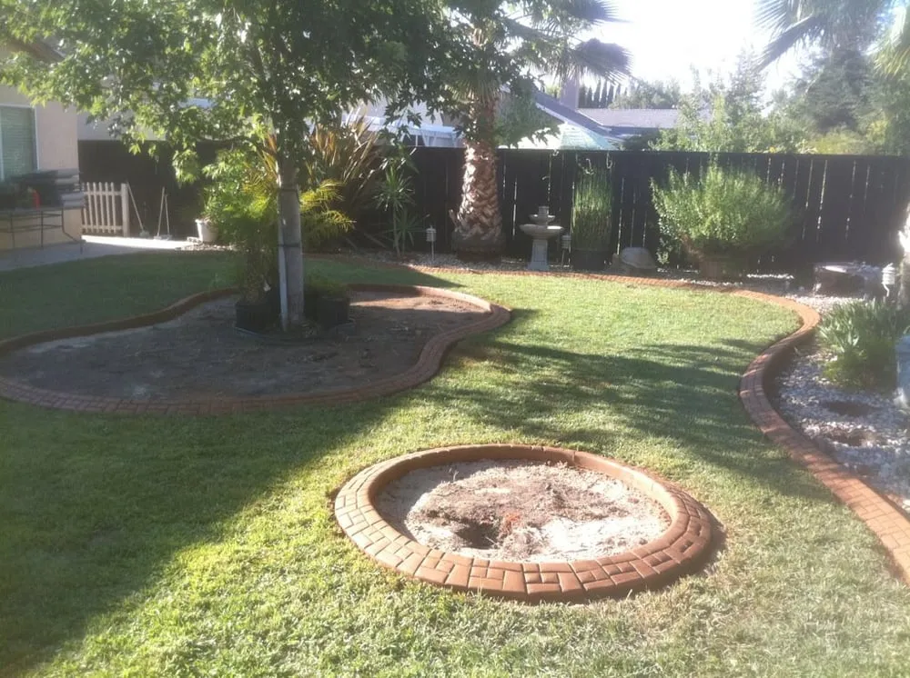 Expert yard cleanup service experts serving Escalon, CA - Curb A Lawn