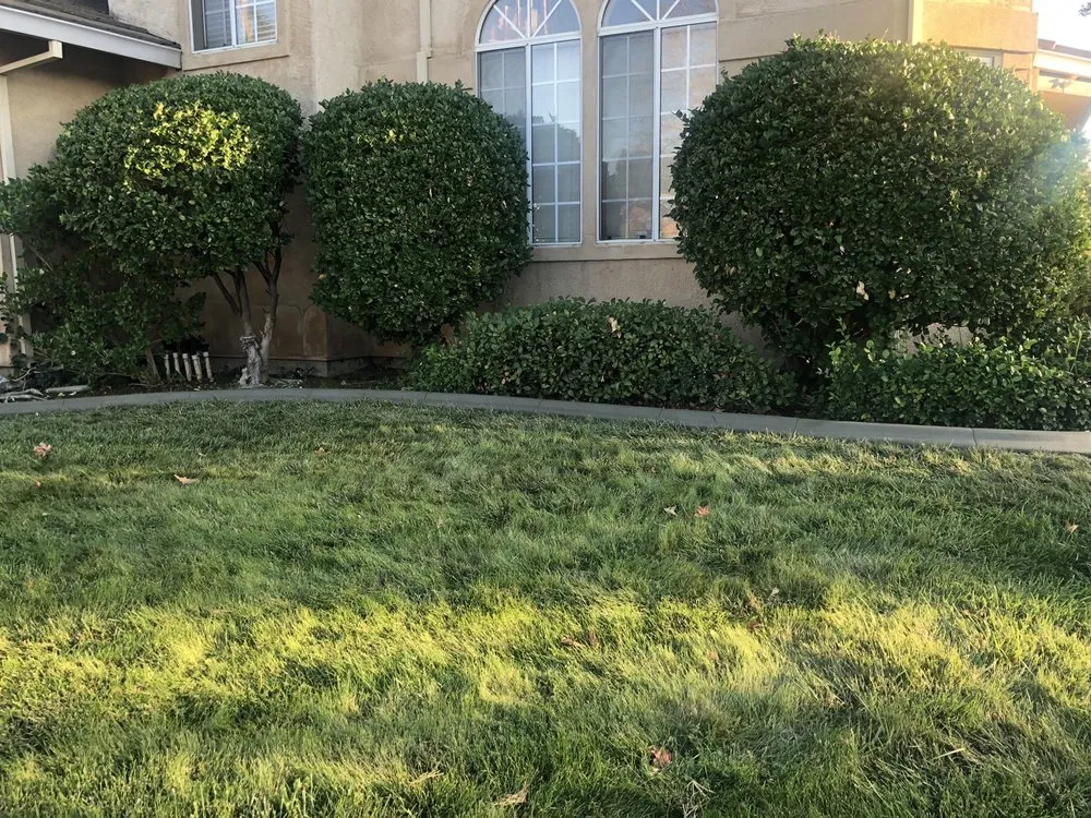 Expert landscaping services in Escalon, CA by Curb A Lawn