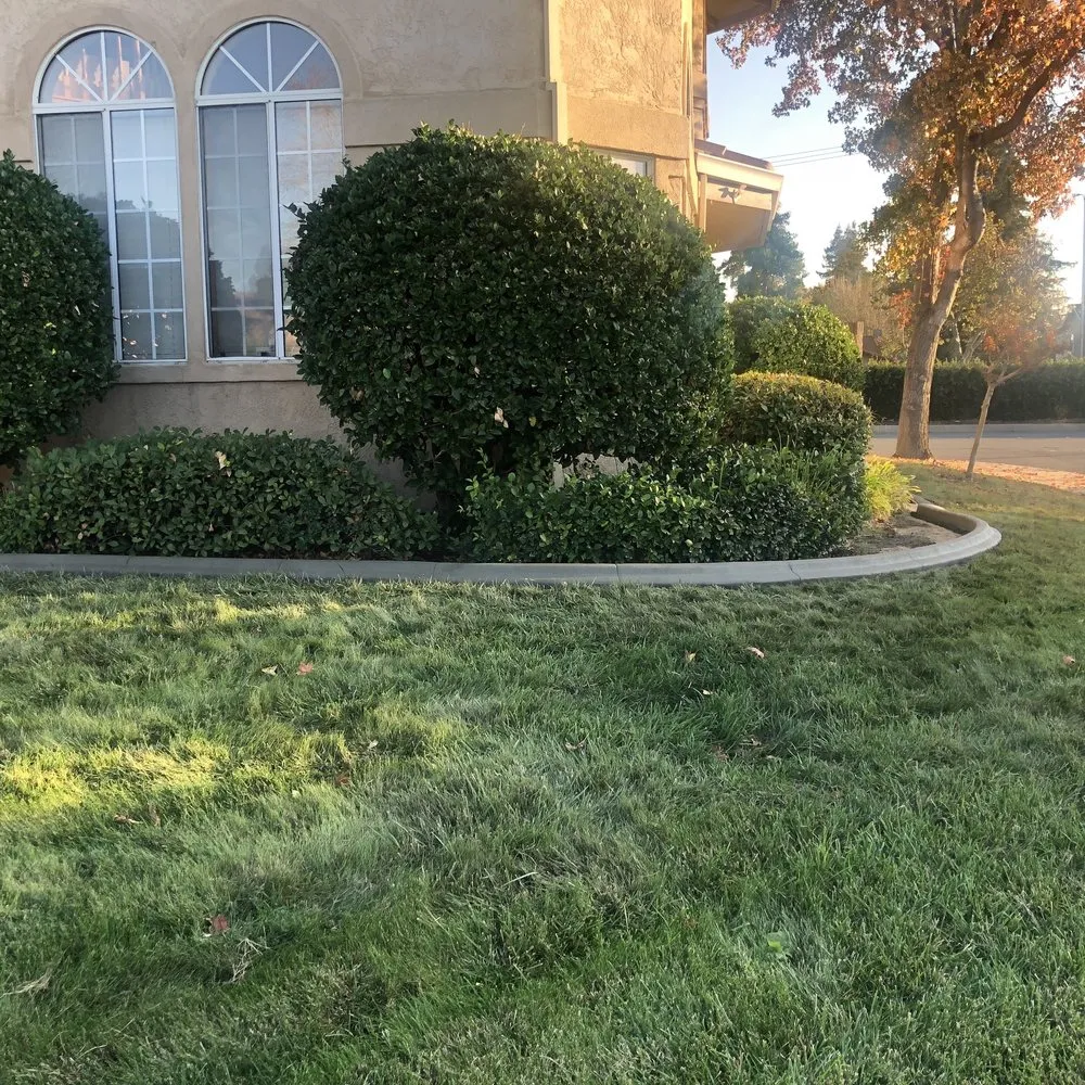 Local lawn mowing service for homes across Escalon, CA - Curb A Lawn