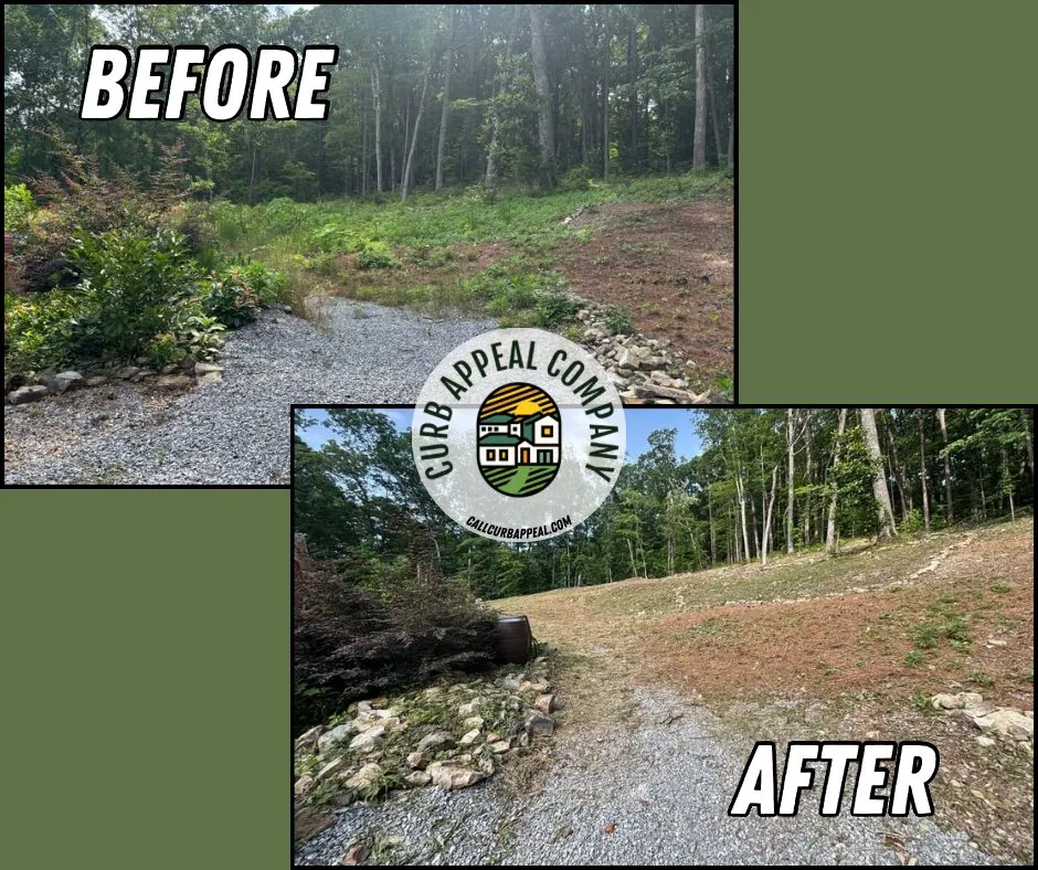 Expert yard cleanup service in Attalla, AL - Curb Appeal