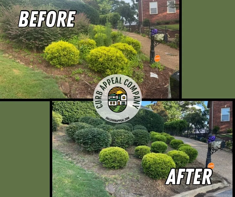 Custom lawn care service experts serving Attalla, AL - Curb Appeal