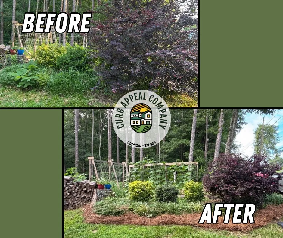 Reliable yard cleanup service experts serving Attalla, AL - Curb Appeal
