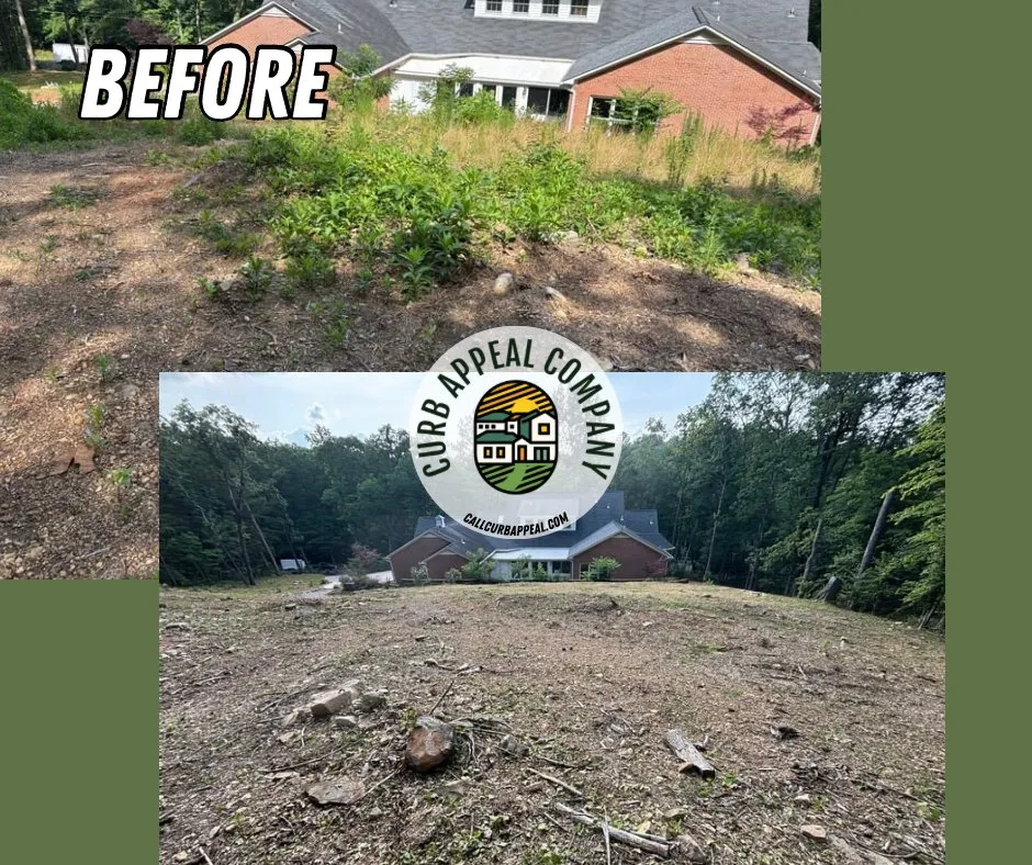 Affordable landscape design experts serving Attalla, AL - Curb Appeal