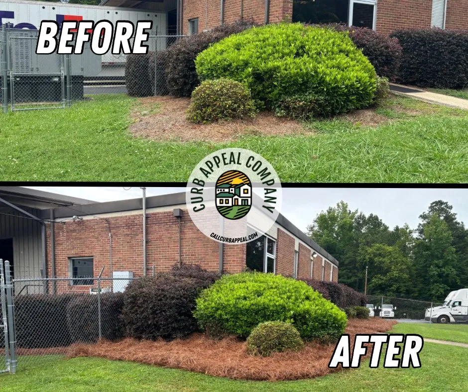 Custom lawn care service in Attalla, AL - Curb Appeal
