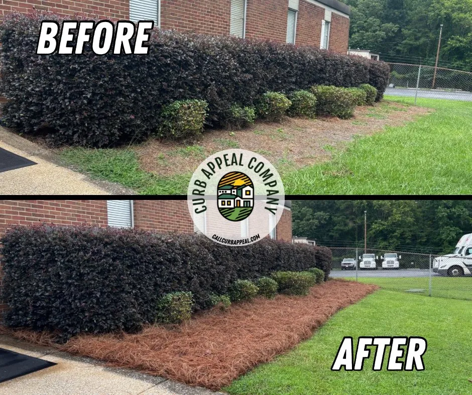 Reliable lawn care service in Attalla, AL by Curb Appeal