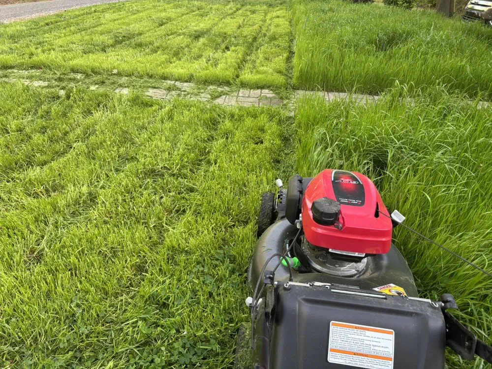 Local outdoor landscaping in Attalla, AL - Curb Appeal