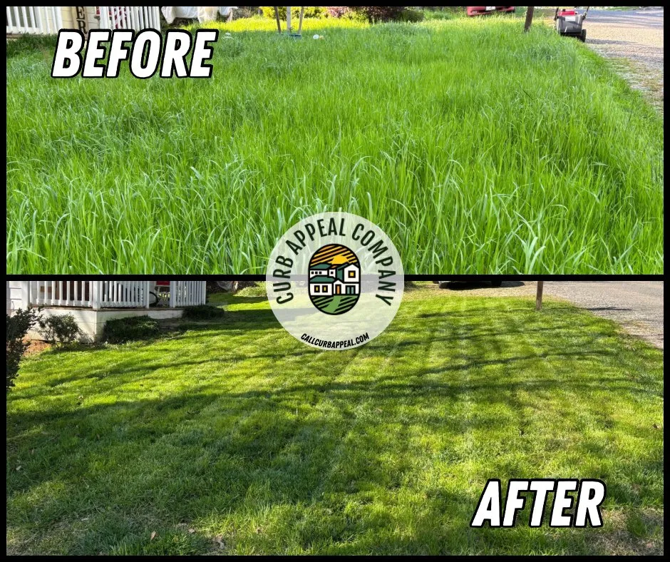 Professional lawn care service experts serving Attalla, AL - Curb Appeal