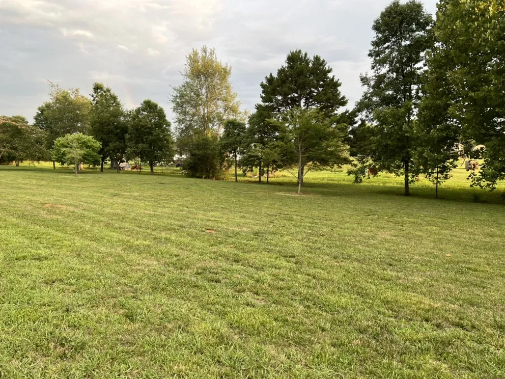 Affordable yard maintenance in Crouse, NC - Curb Appeal