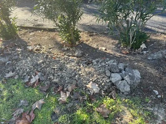 Curb Appeal Design and Construction Logo